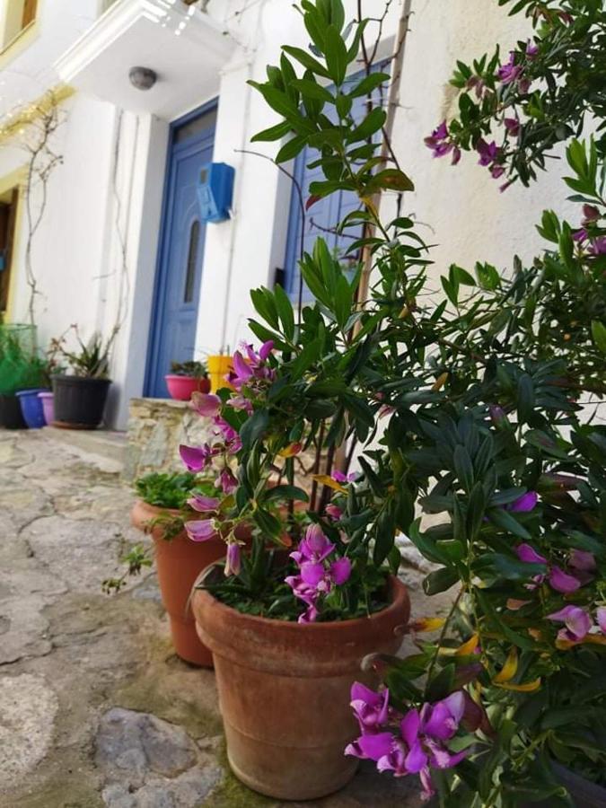 Vila Kastro House Skopelos Exteriér fotografie