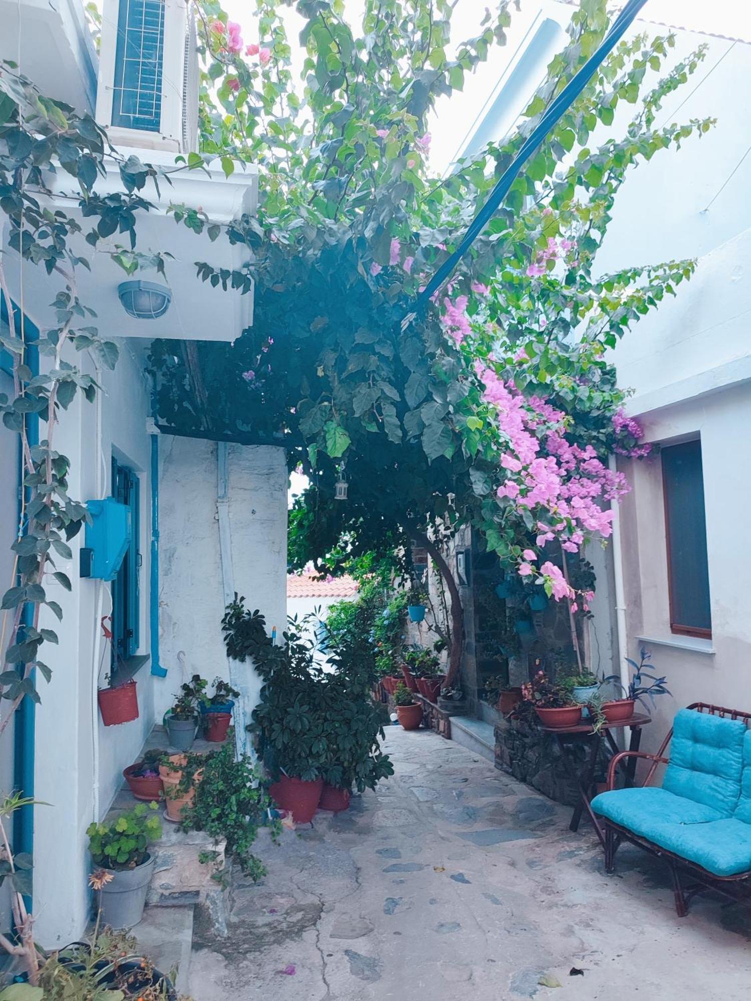 Vila Kastro House Skopelos Exteriér fotografie